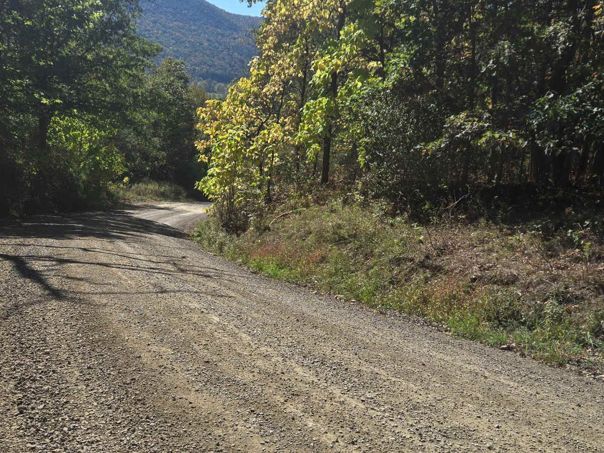 Vogt Road photo 2