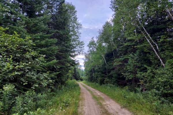 Lean-To Ridge Trail