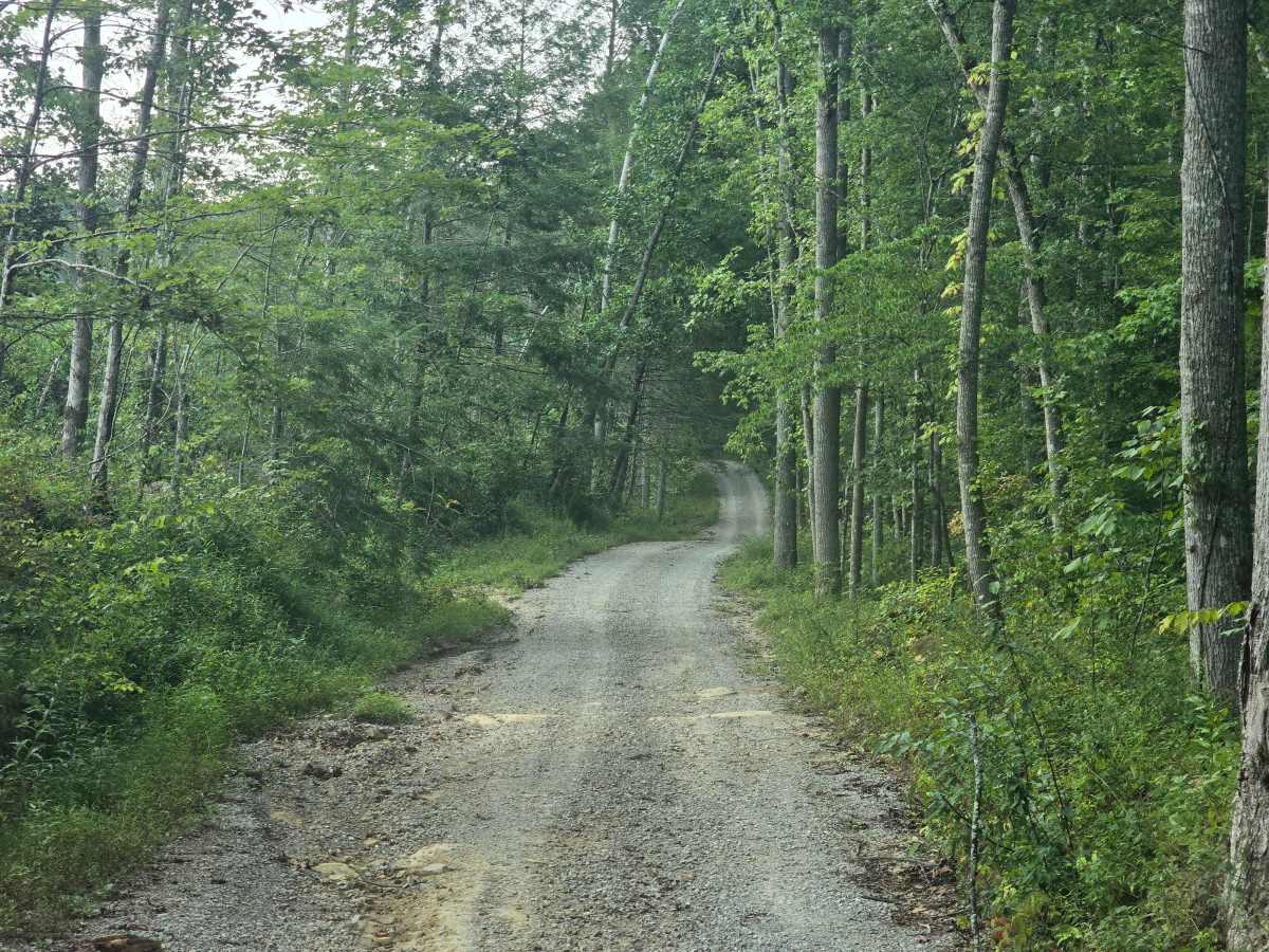 Zenith Road trail photo