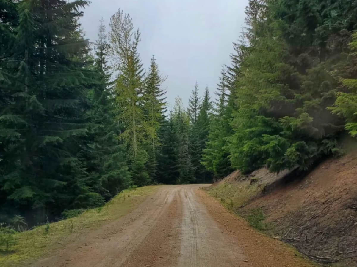 Davis Creek Trail photo 5