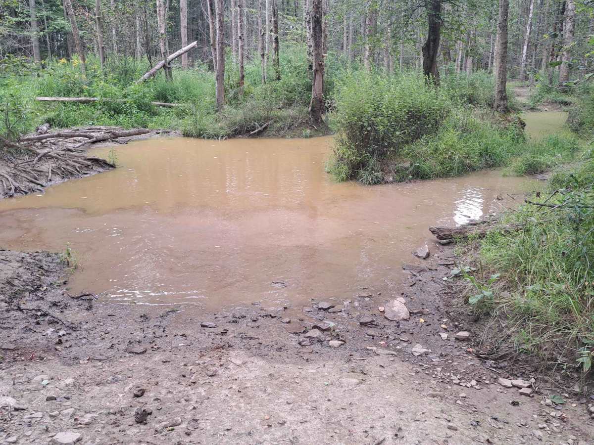 Corner Woods trail photo