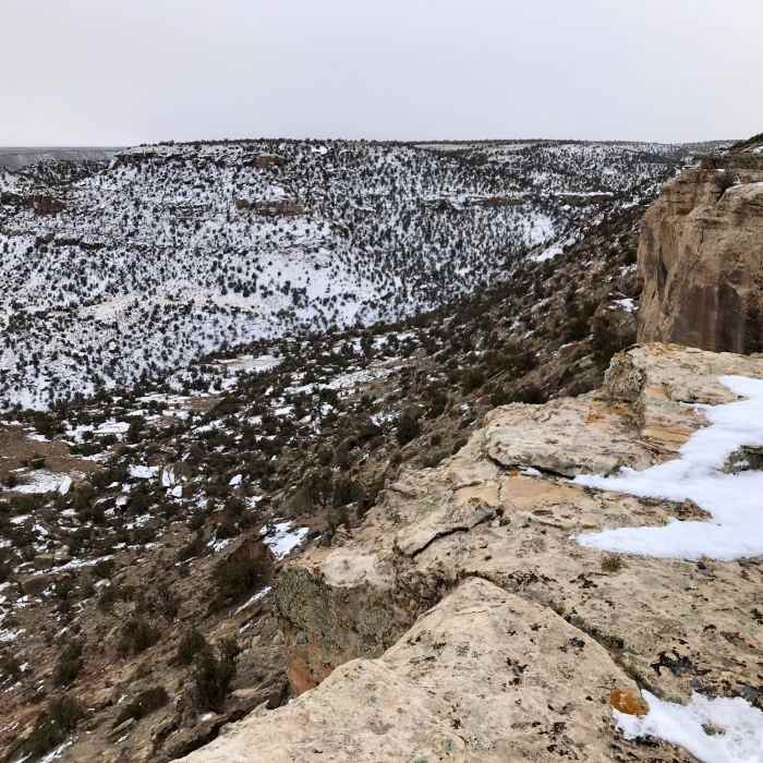 Near McCarty Trail