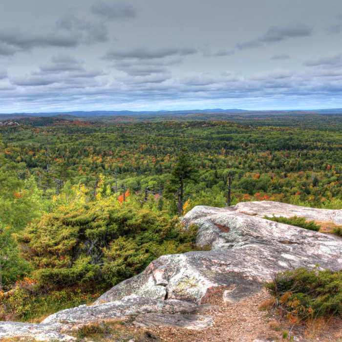 Near Hogback Mountain Near Hogback Mountain