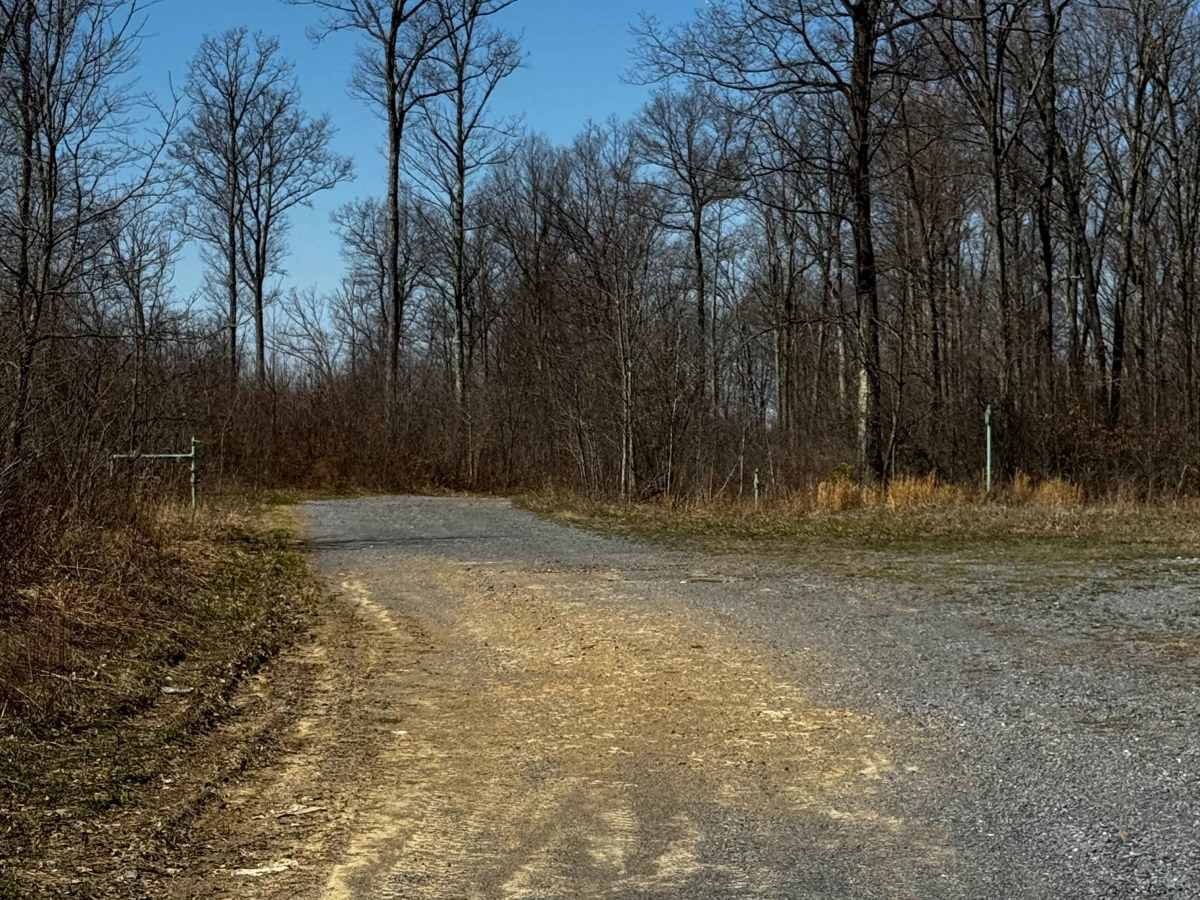 Council Run Trail photo 2