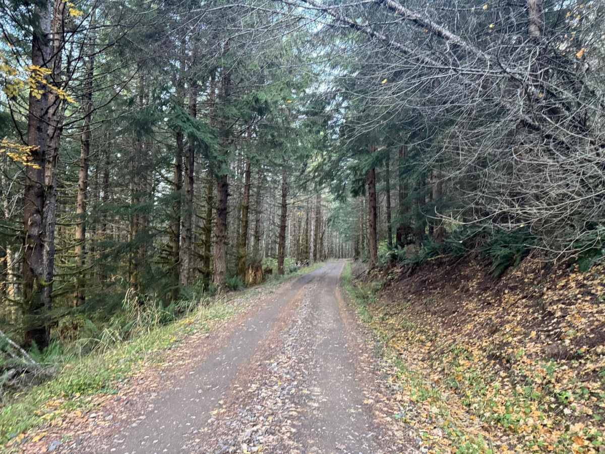 Powder Horn Spur Road photo 3