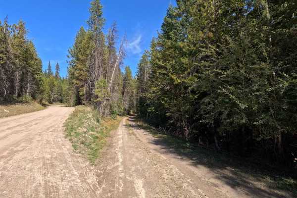 Healey Creek - FS 9517200