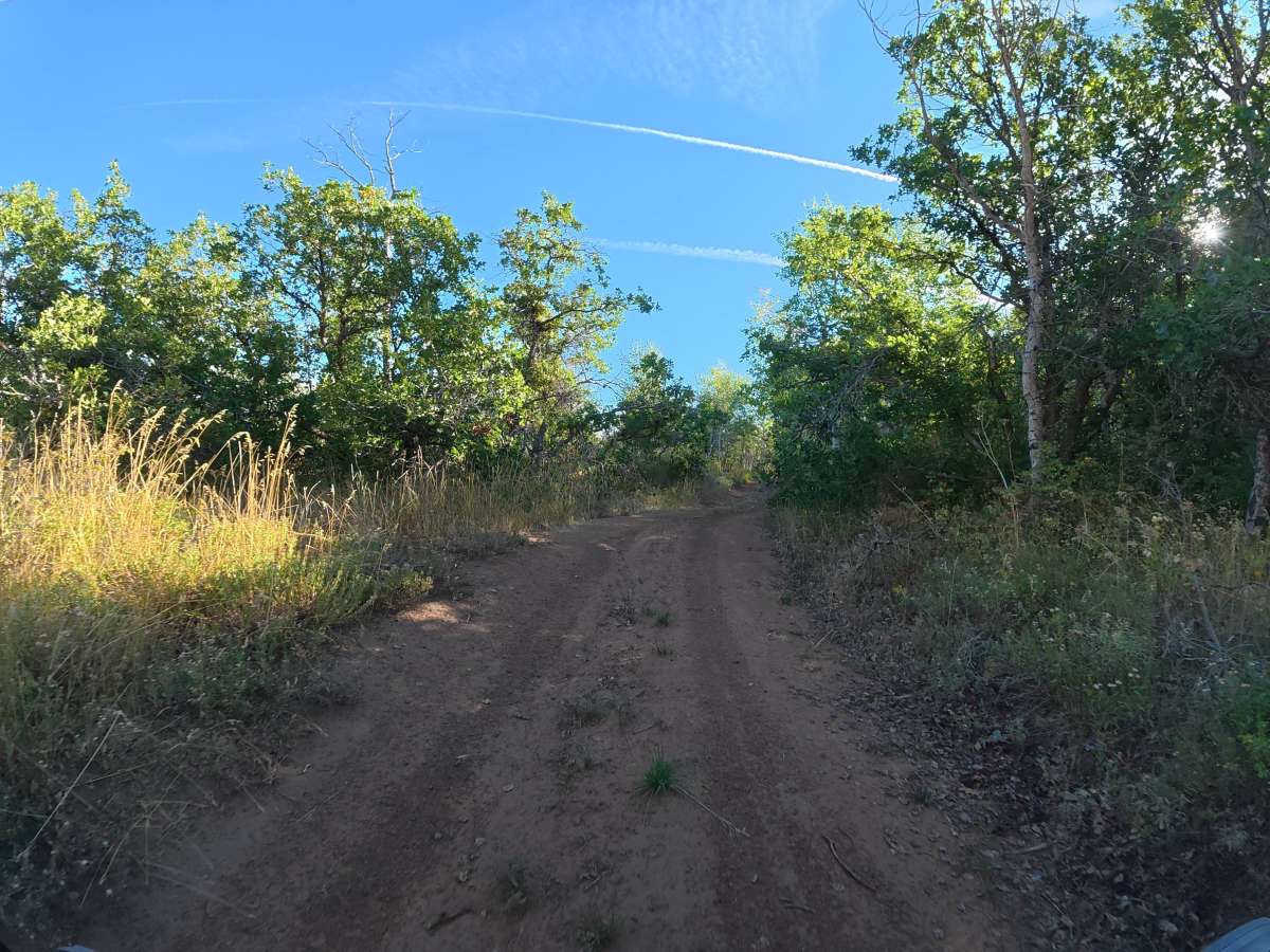 Mesa Creek Road photo 2