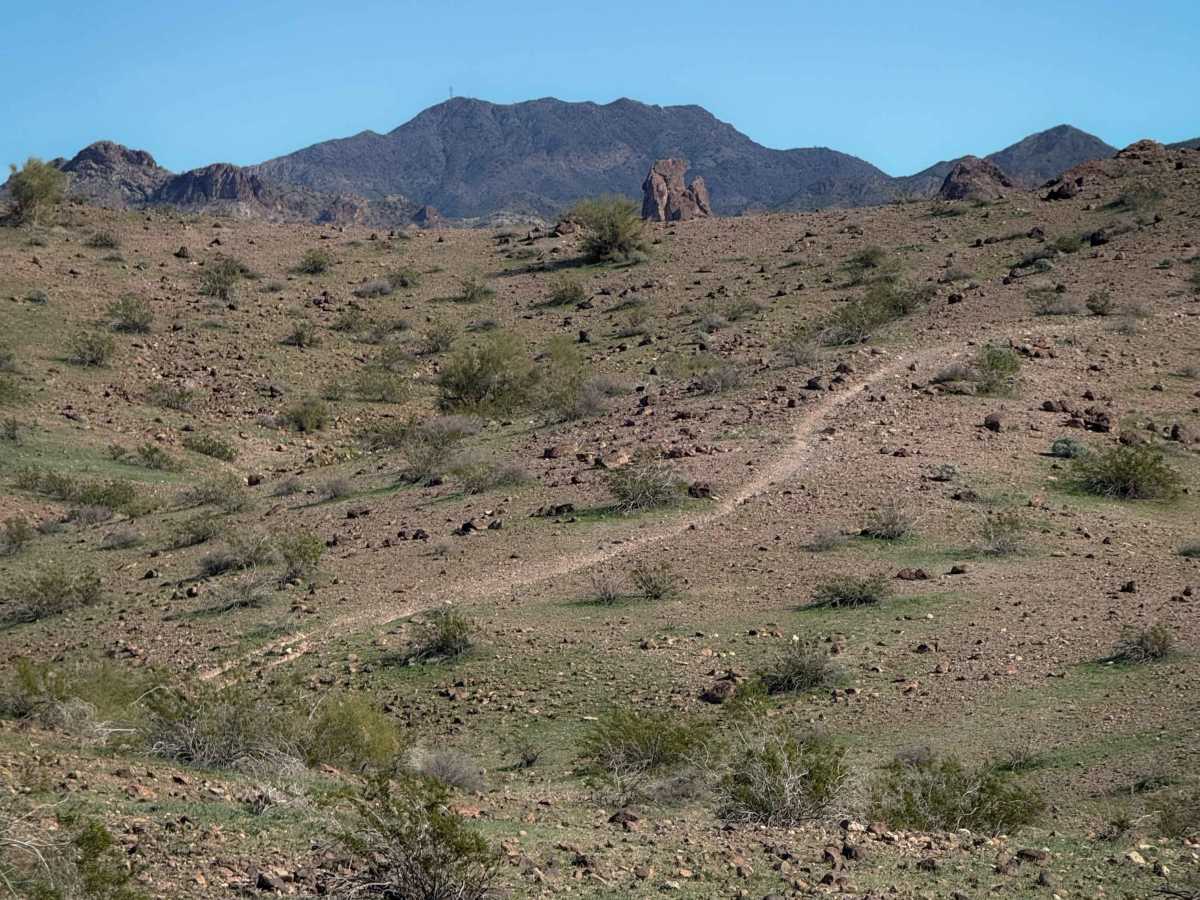 Hn053 trail photo