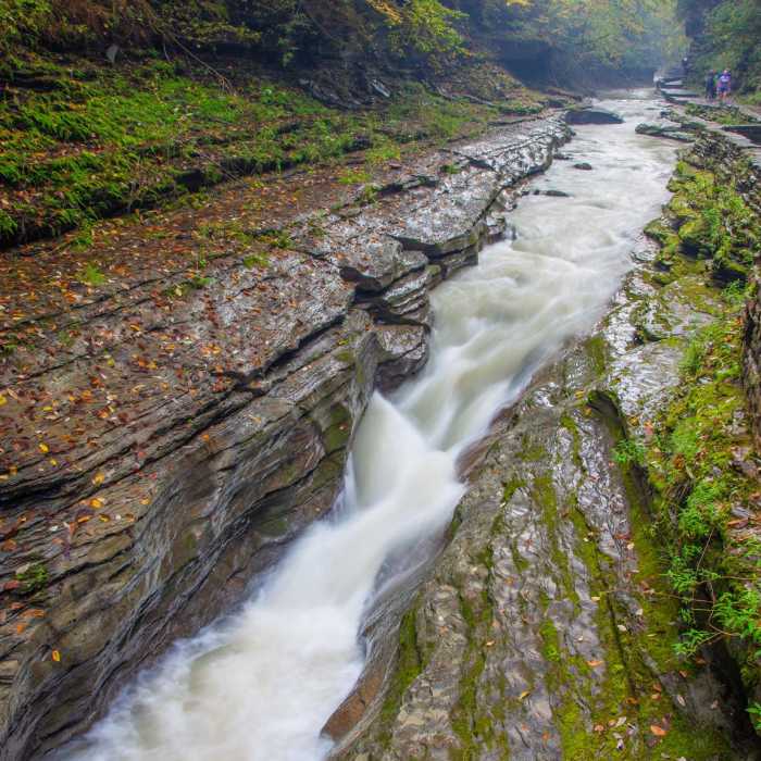Near Gorge Trail Near Gorge Trail