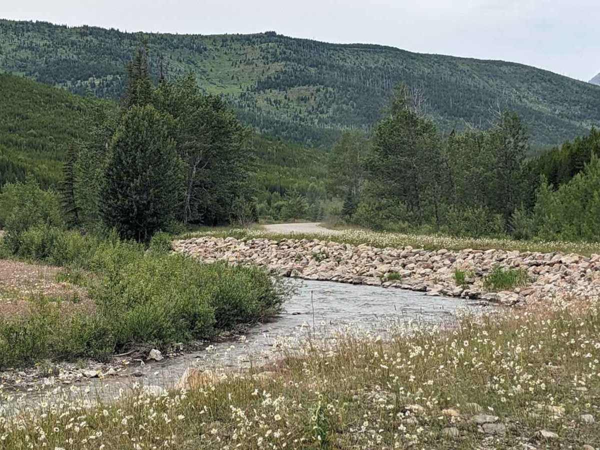 Lynx creek road photo 4
