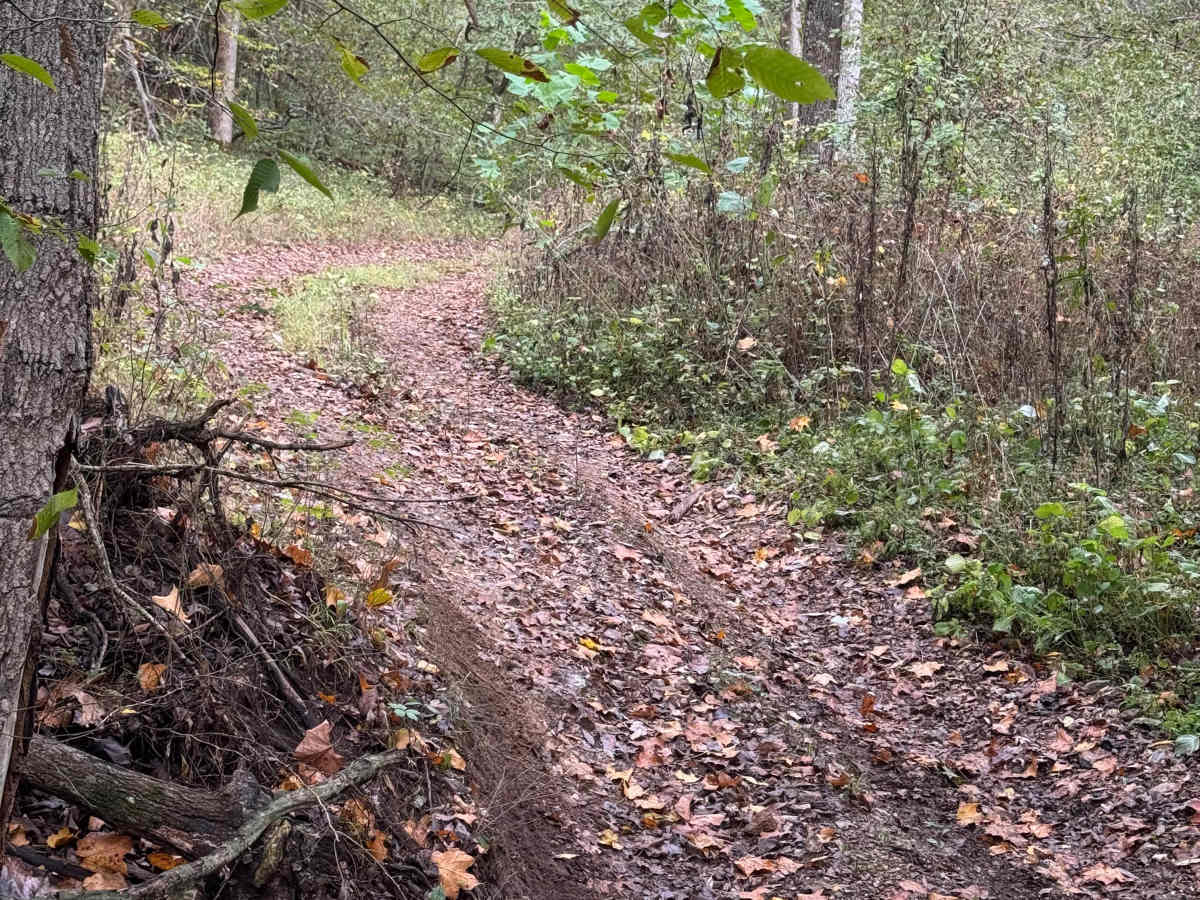 Ranger Smith photo 2