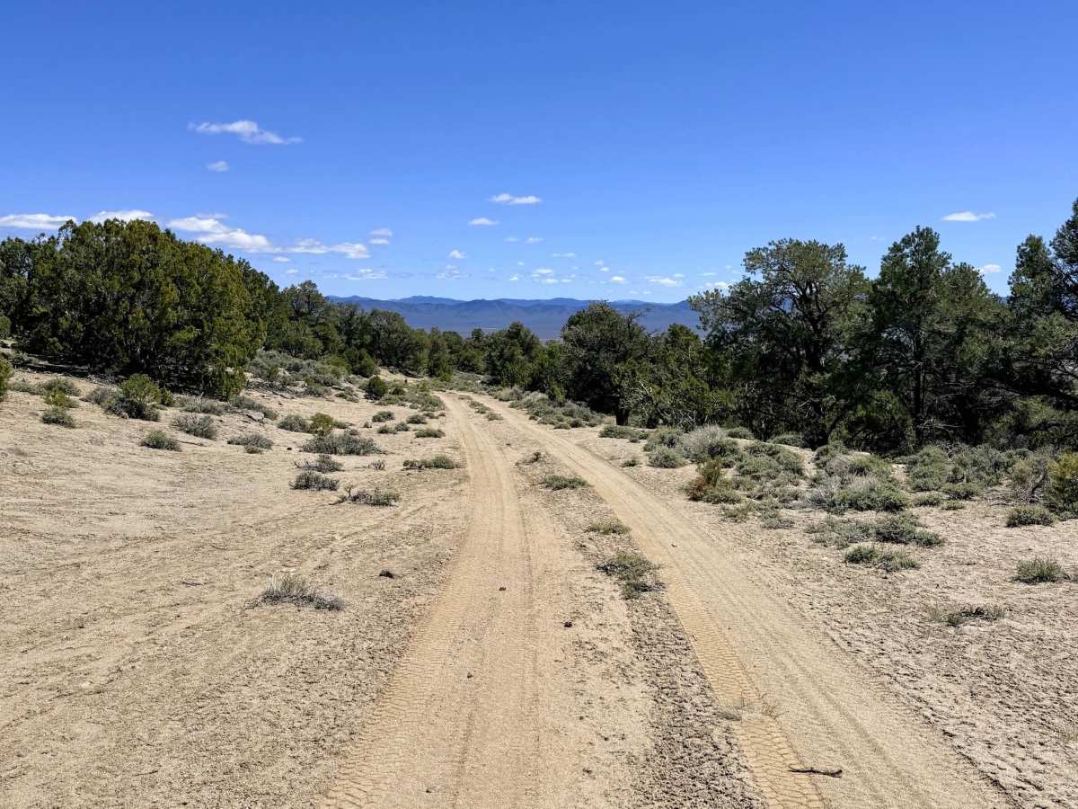 Blackbird Ranch Loop FS43255 photo 6