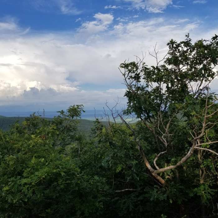 View looking north from Round Mountain (El 2280ft.) Near CT State Highpoint/Tri-point Out and Back