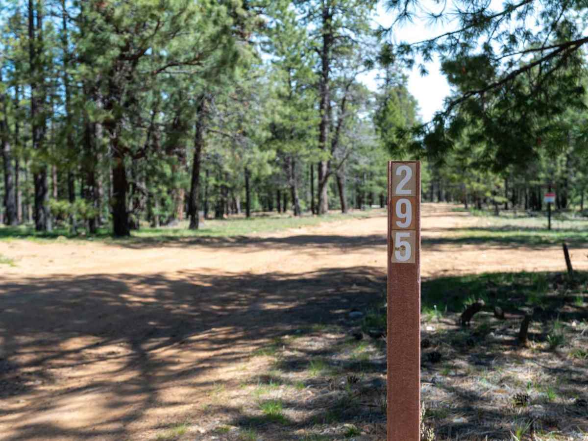 Knoll Ridge - FS 295 trail photo
