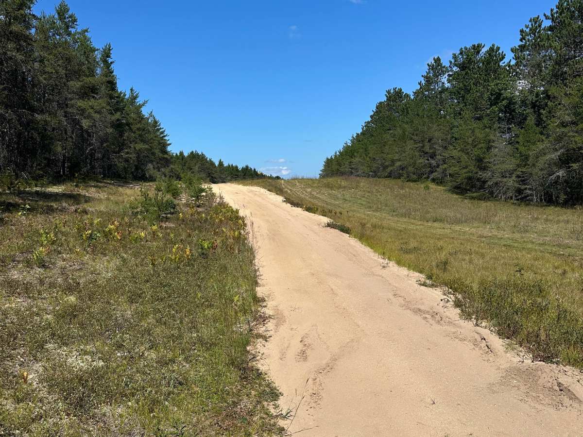 Wilson Spur photo 2