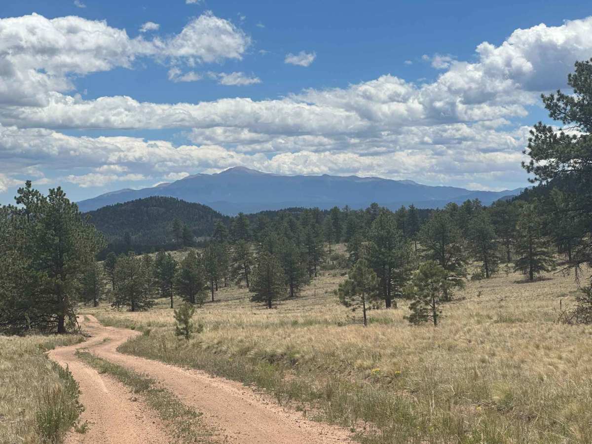 Gunbarrel Road - FS 860 photo 4