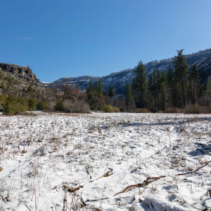 A snow covered meadow along the Tuolumne River. Near Preston Falls Trail (#19E18)