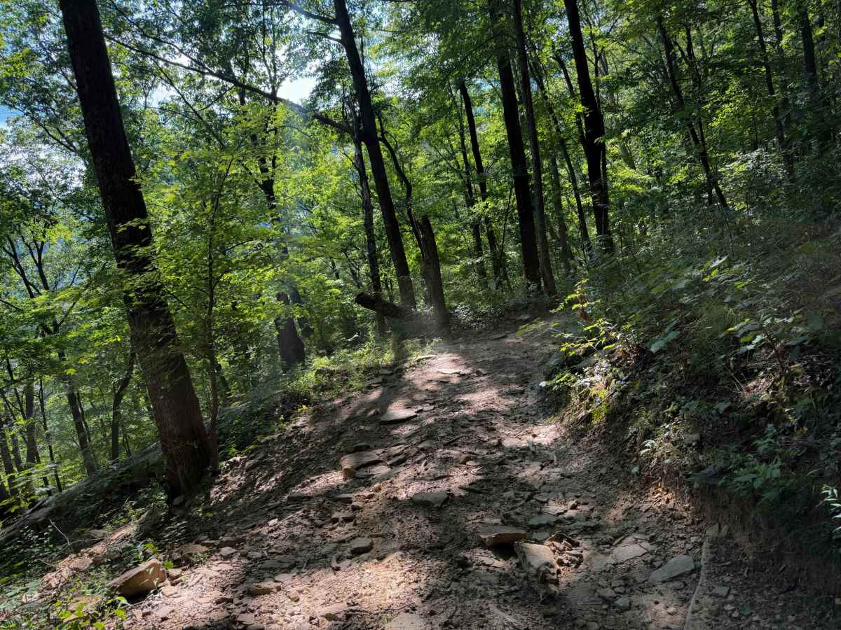 Standing Stone Ridge Trail 24  photo 6