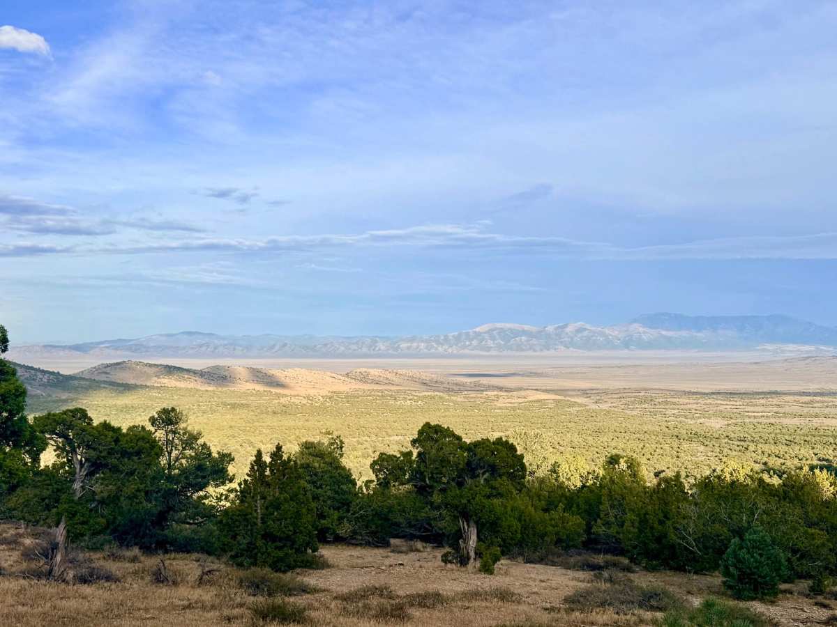 Warm Springs Southwest Loop - FS 17546 trail photo