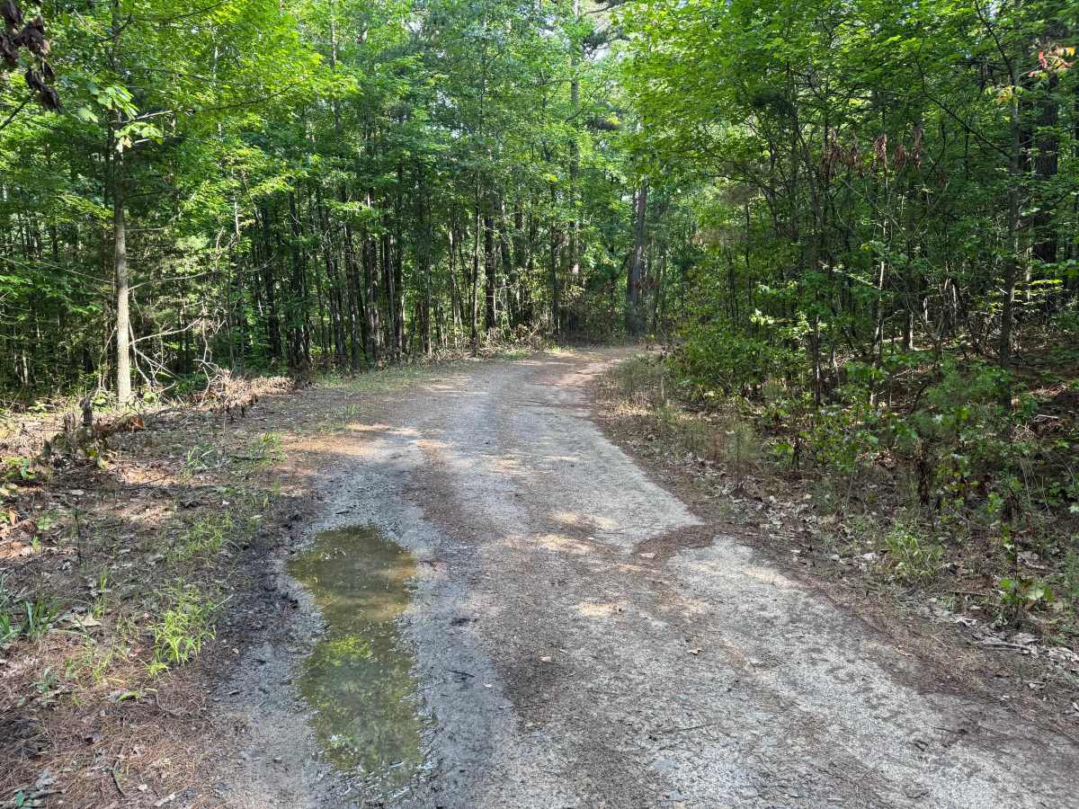 Minnow Creek photo 3
