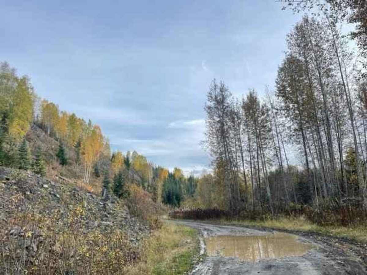Cassy Road photo 3