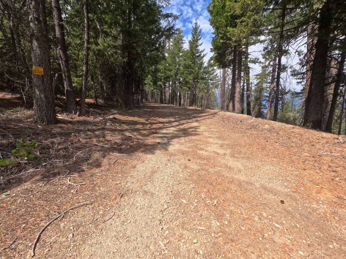 Brushy Camp Ridge - FS 19N02 photo 2