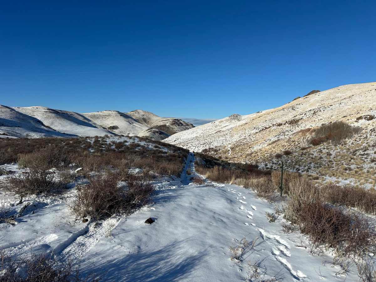 Rats Nest Gulch photo 3