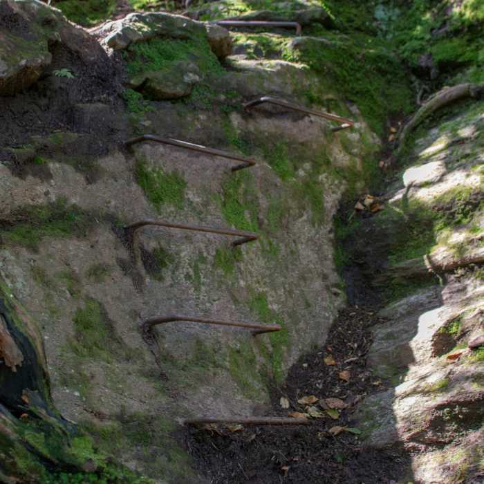 Near Theron Dean Shelter via the Long Trail