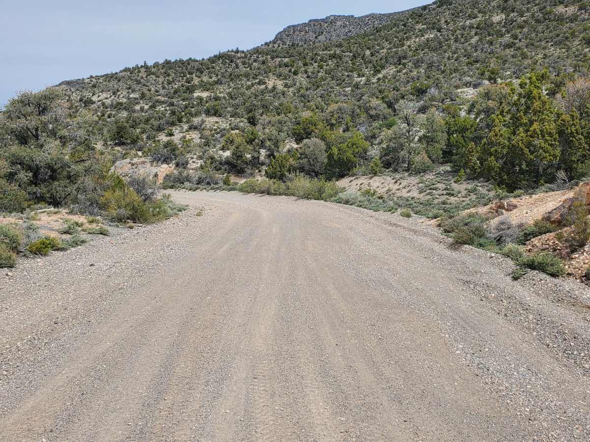 Comet Mine Road photo 5