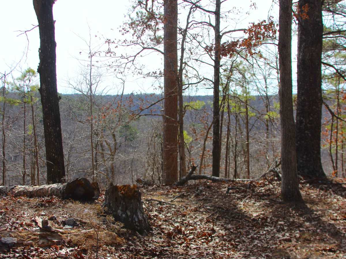 Stockman - FS 498 photo 5