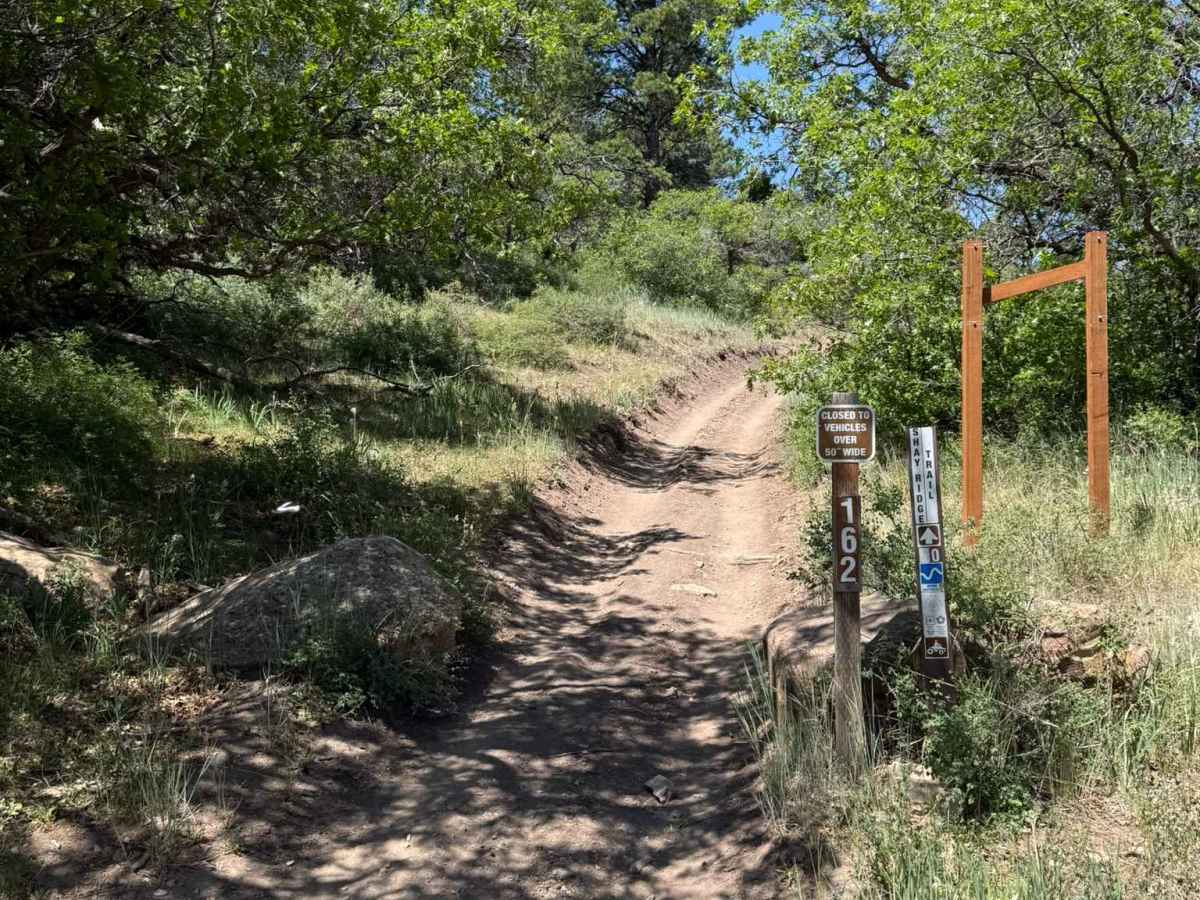 Shay Ridge OHV Trail N0. 162 trail photo