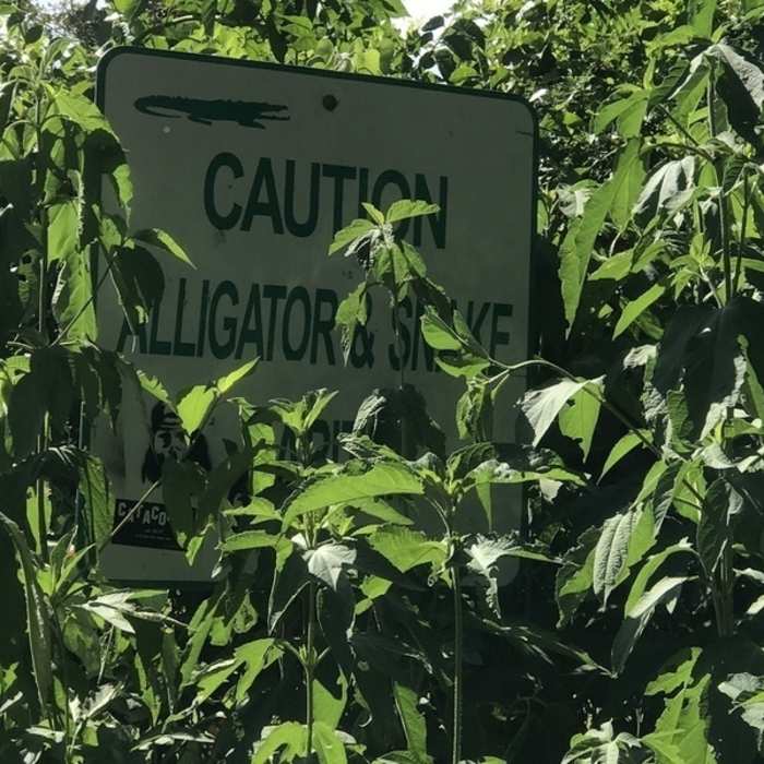Near Seabrook Hike and Bike Trail