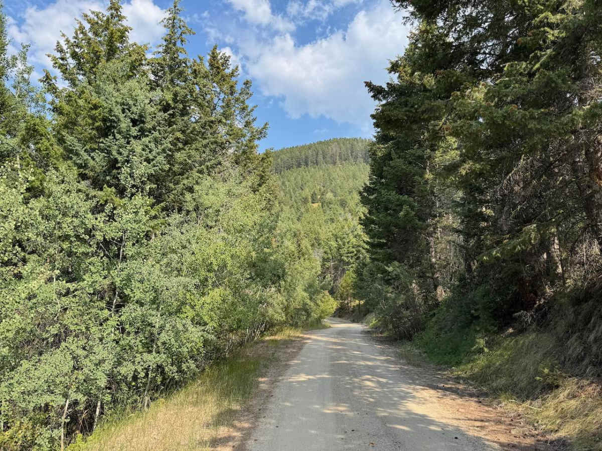 Gold Creek photo 3