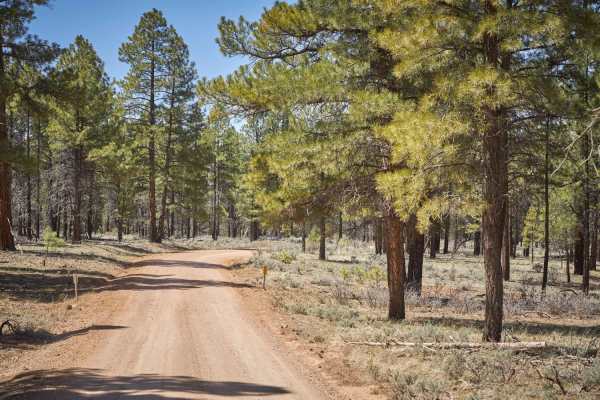 Red Skinner Road