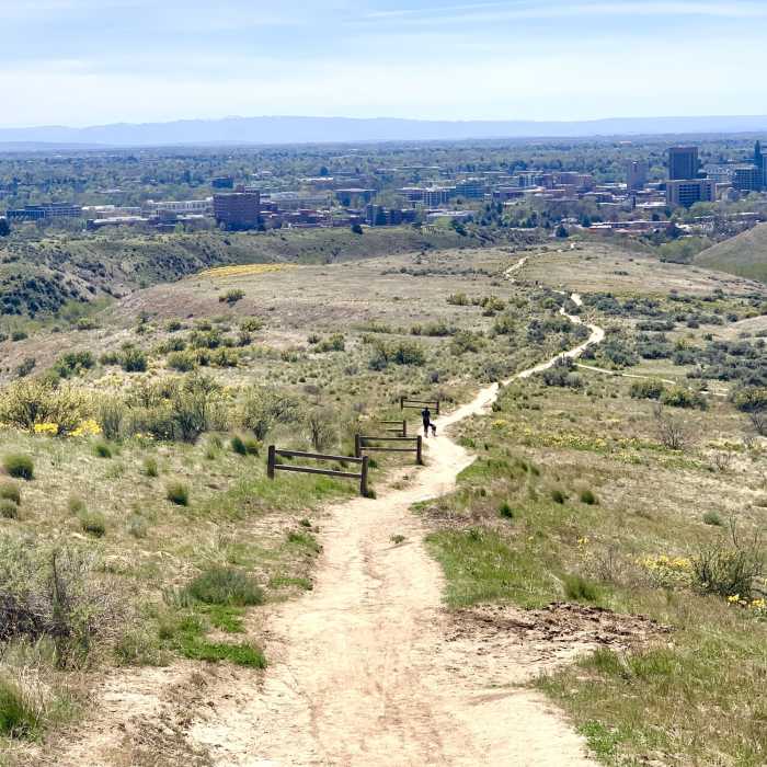 Near Ridge Crest - Central Ridge Loop