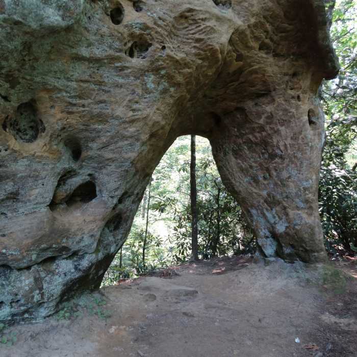 Angel Windows. Near Swift Camp Creek to Wildcat Trail Loop
