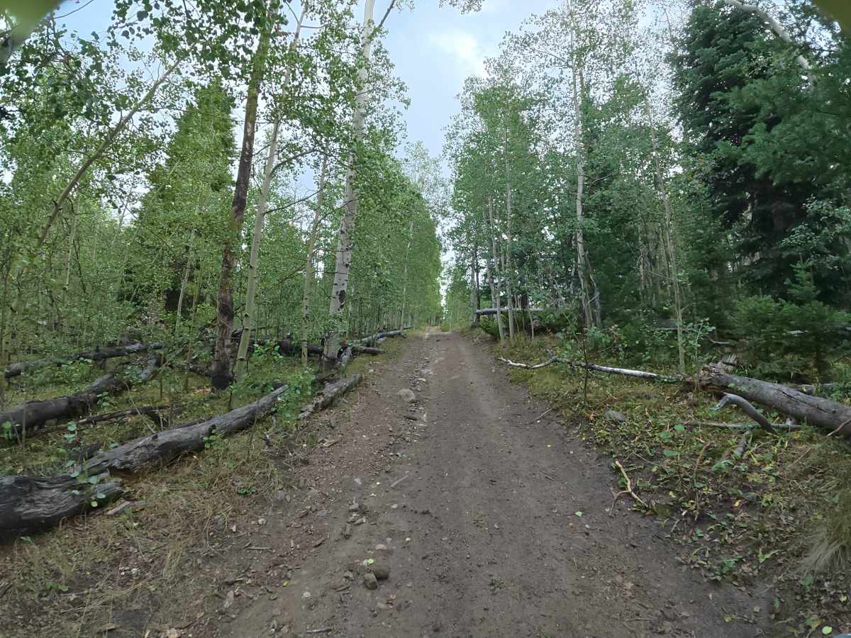 Long Lake Road photo 6