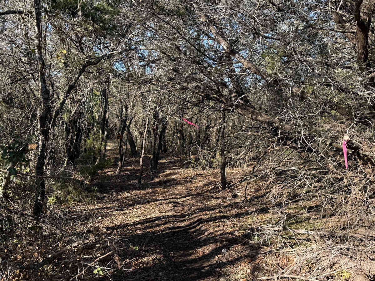 Widow’s Switchback photo 2
