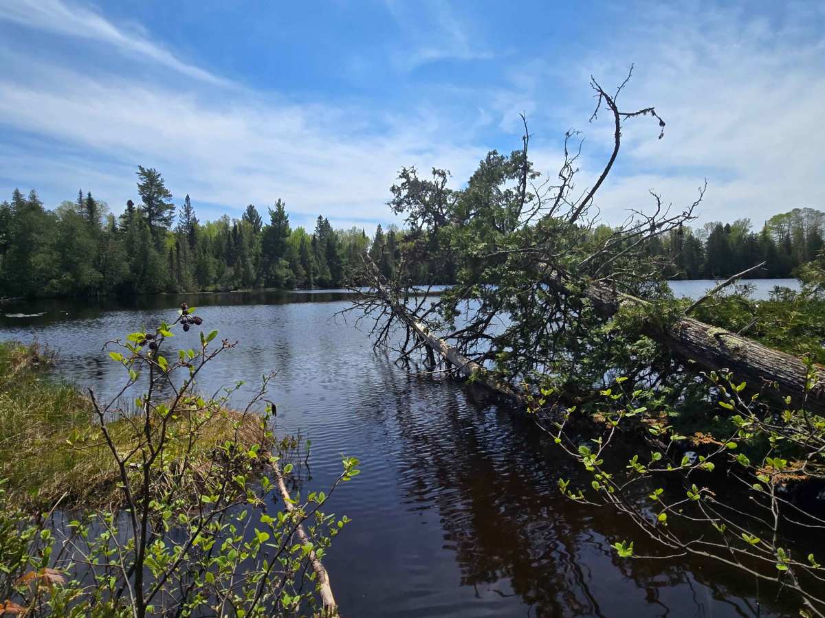 Wringer Lake Road photo 5