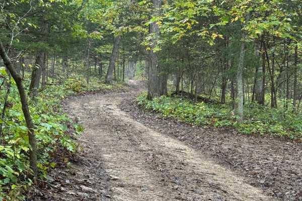Middle Road