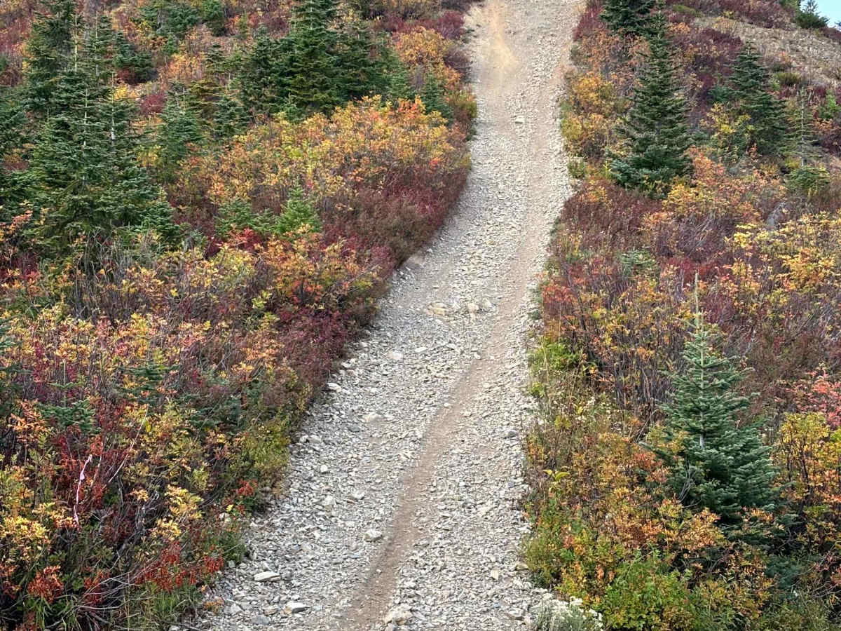 Thurston Loop trail photo