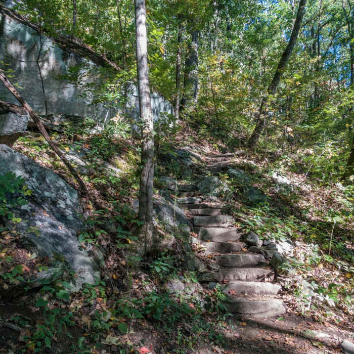 Near Yonah Mountain Near Yonah Mountain