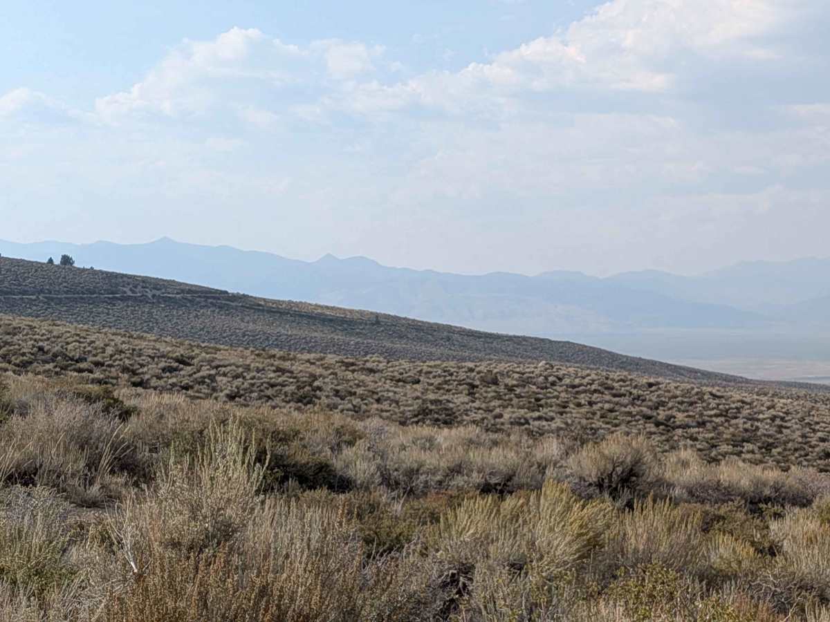 Pole Line Cutoff  photo 4