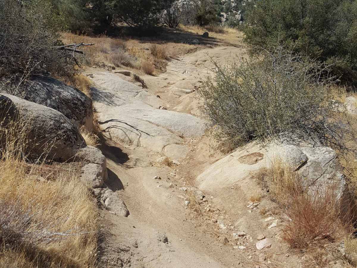 Dutch Flat Trail photo 5