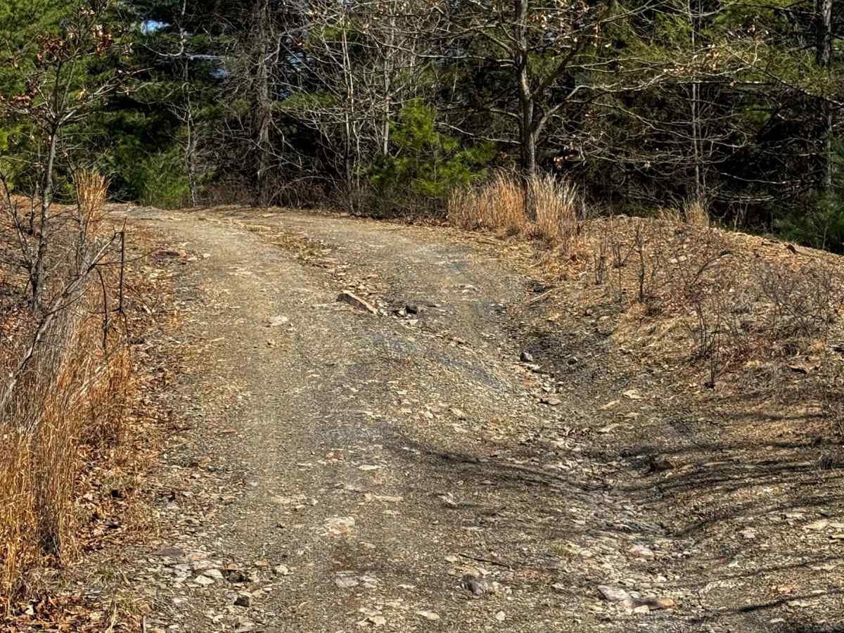 Logway Run Trail East photo 4