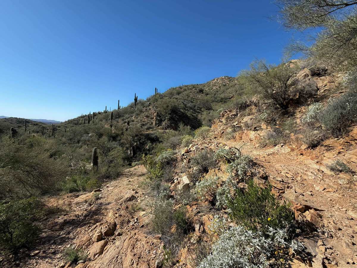 Black Canyon Trail  photo 2
