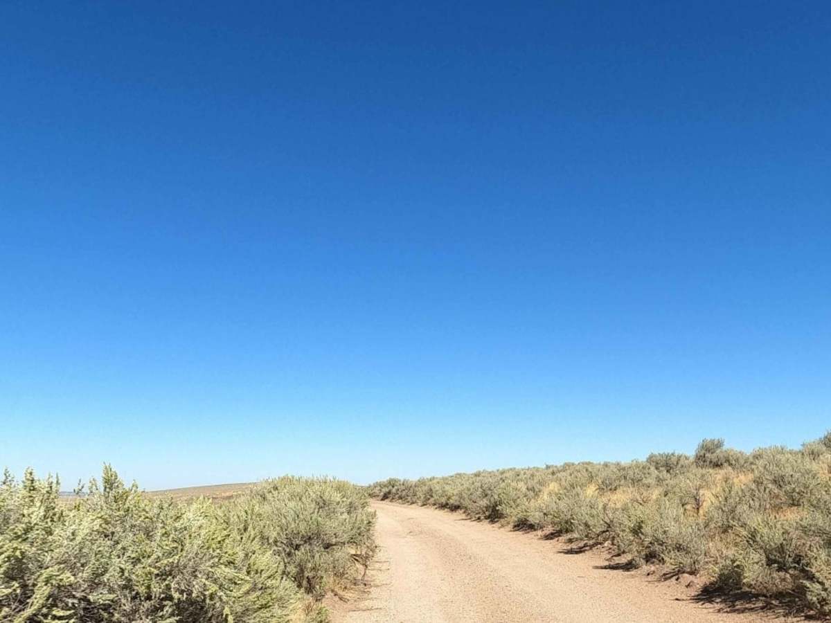 Coffeepot Crater Road photo 5