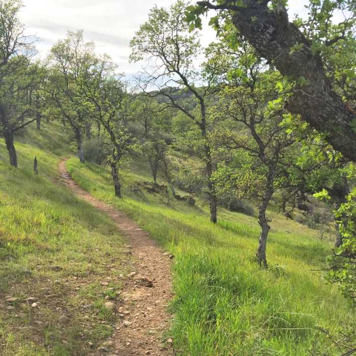 Near Yana Trail: Perry Riffle to Massacre Flat