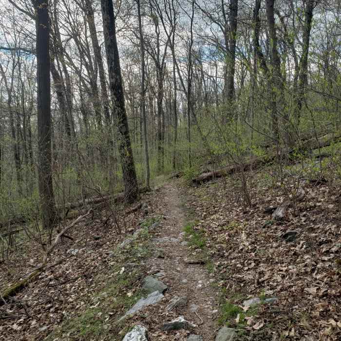 Near Gambrill State Park Loop