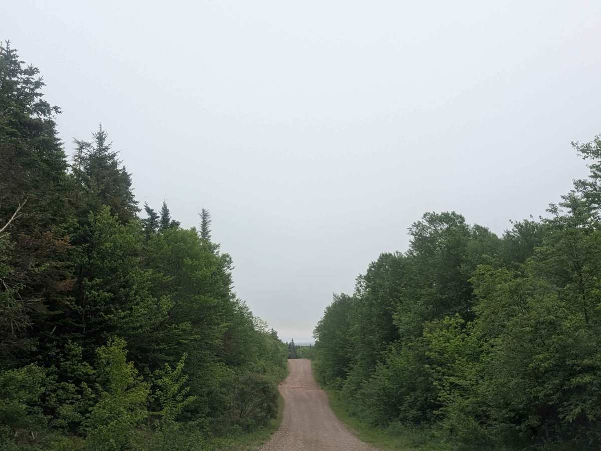7219 Road photo 5